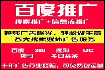 竞价SEM案例分享：行业霸主崛起之路